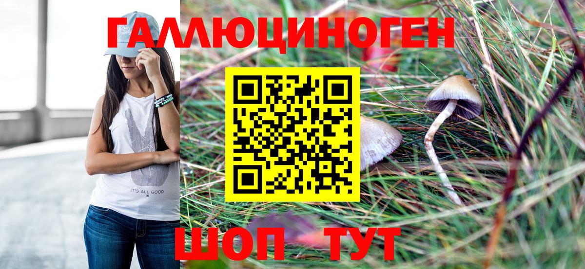Галлюциногенные грибы мухоморы Протвино